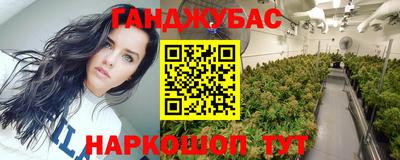 соль ск Бердск